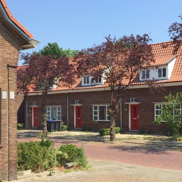 Meedervoortbuurt Renovatie