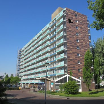 Flats Gerbrandyplein Renovatie