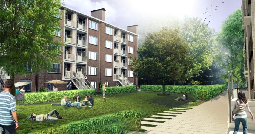 Platanenweg renovatie